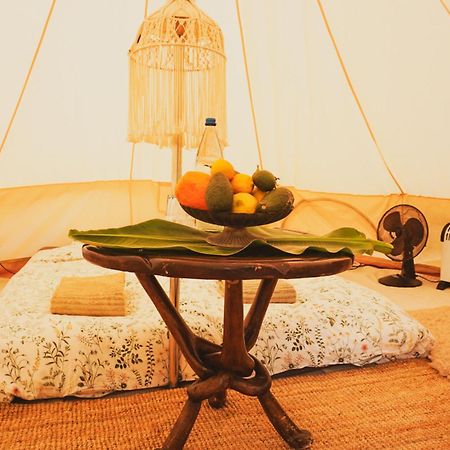Yurt In Avocado Garden Hotel Güimar Buitenkant foto