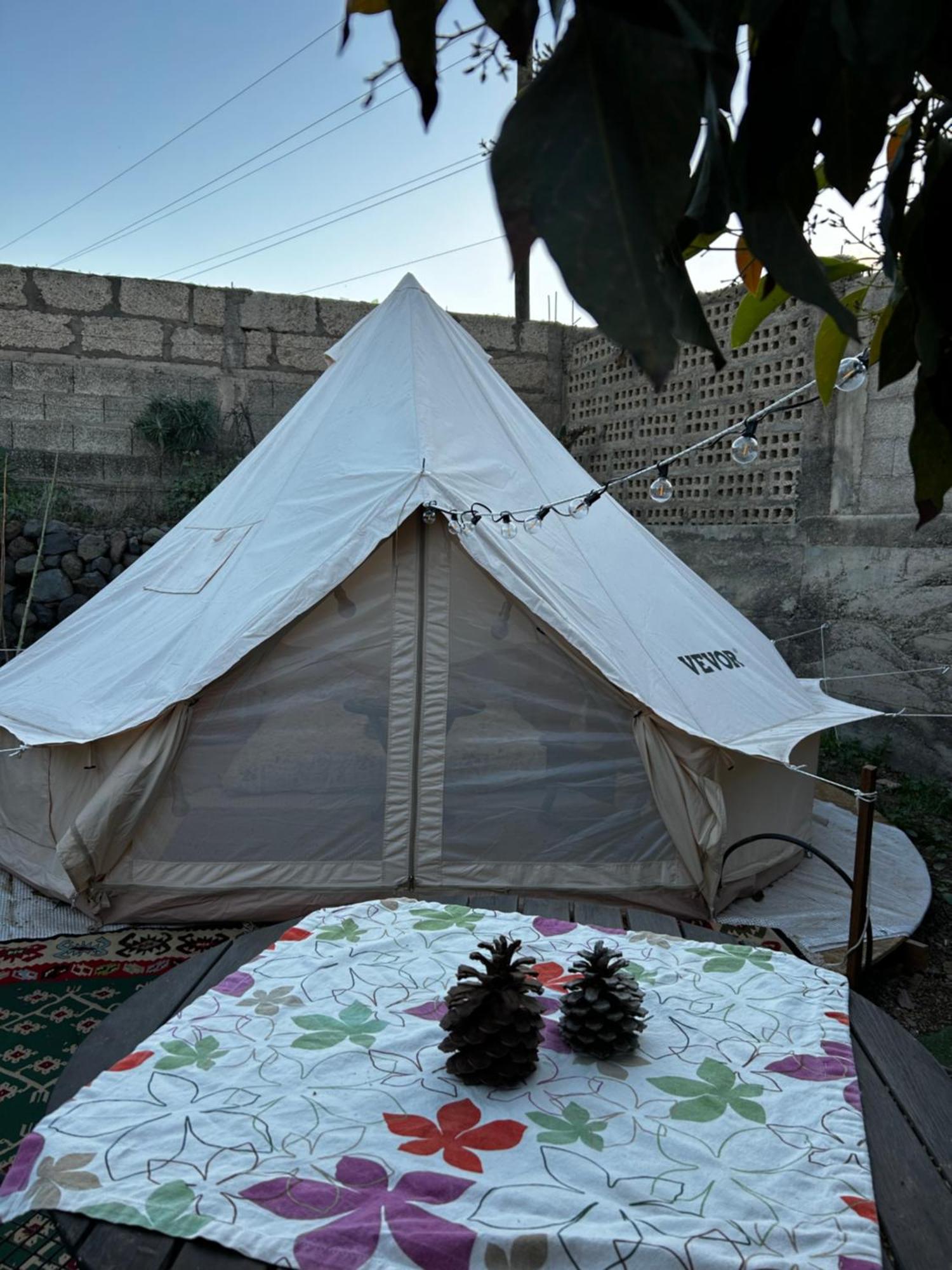 Yurt In Avocado Garden Hotel Güimar Buitenkant foto